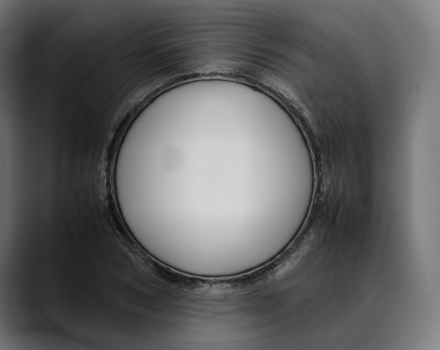 X0000088910978200707061342