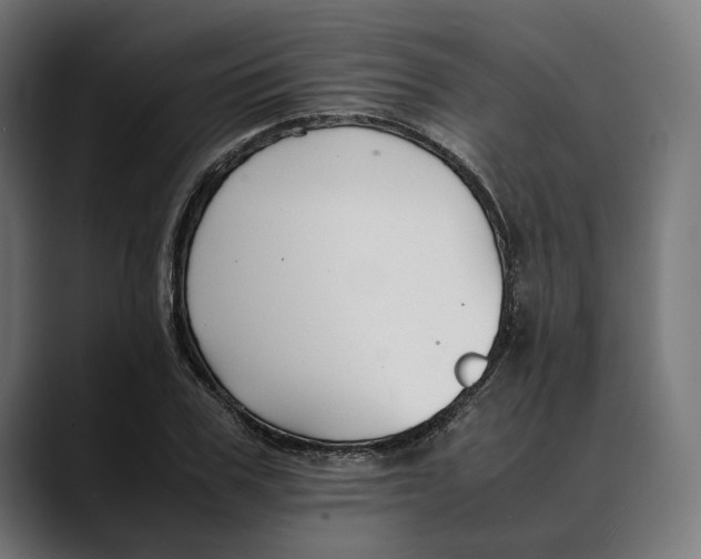 X0000088910979200707061342