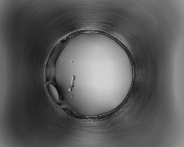 X0000088910980200707061342