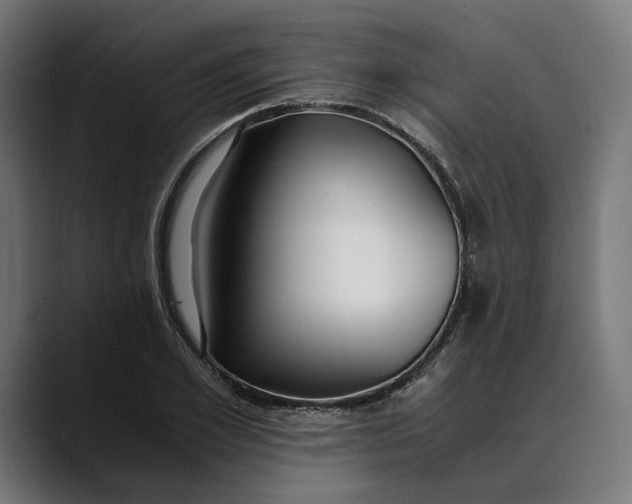 X0000088910981200707061342