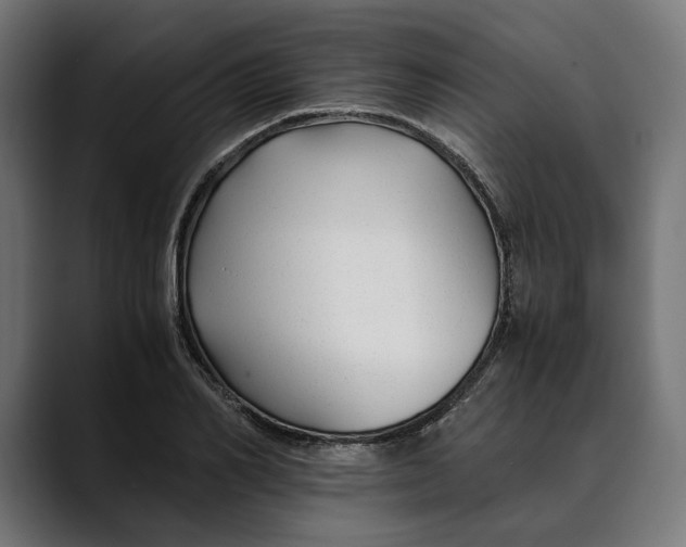 X0000088910982200707061342