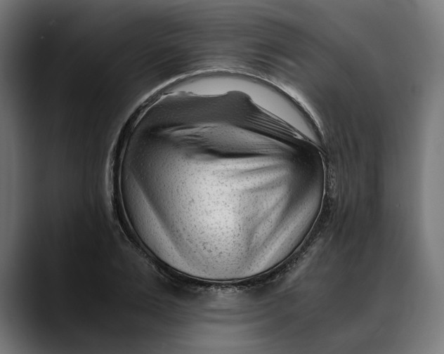 X0000088910983200707061342