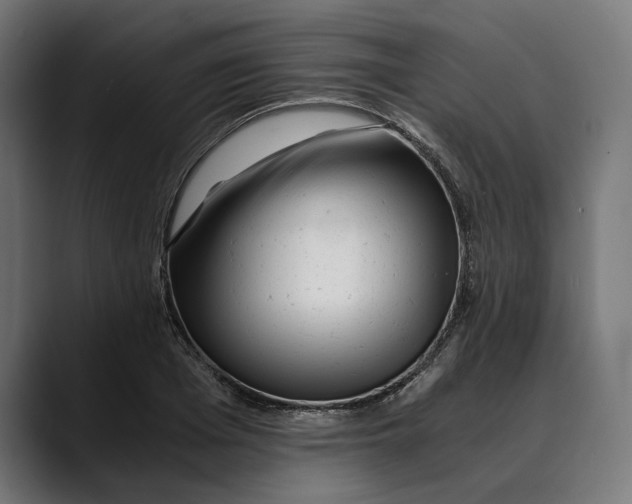 X0000088910985200707061342