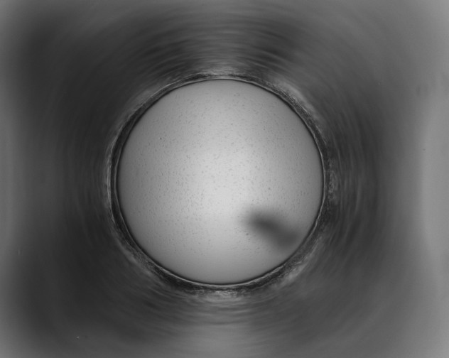 X0000088910986200707061342