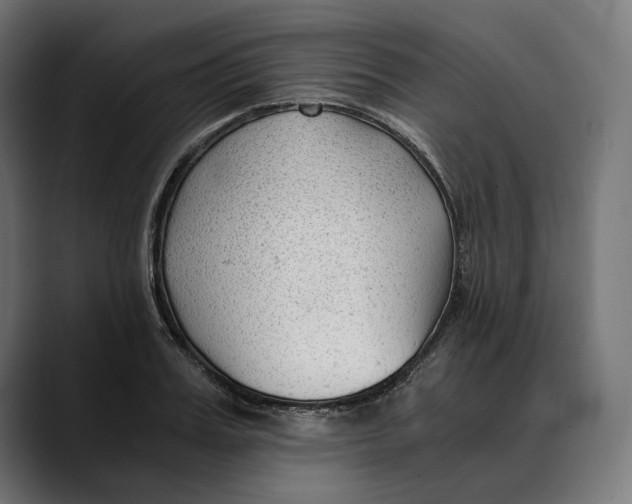 X0000088910987200707061342