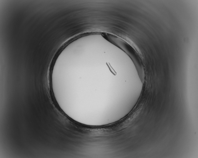 X0000088910988200707061342