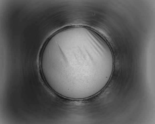 X0000088910990200707061342