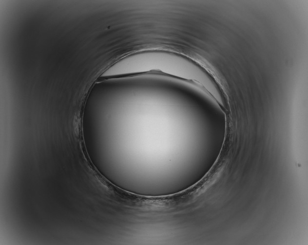 X0000088910993200707061342