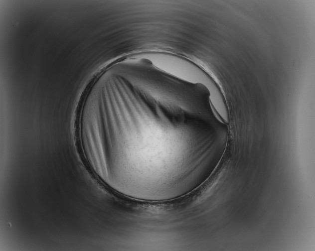 X0000088910995200707061342