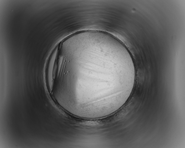 X0000088910998200707061342