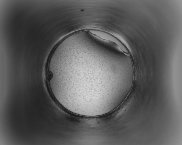 X0000088910999200707061342