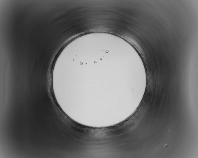 X0000088911000200707061342