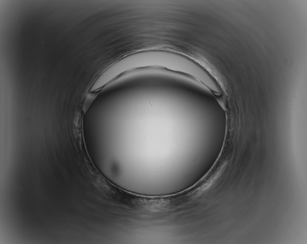 X0000088911001200707061342