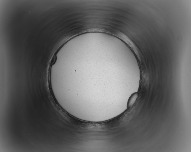 X0000088911002200707061342