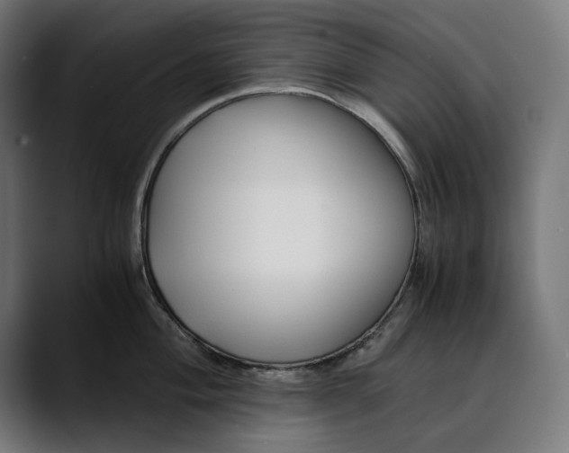 X0000088911004200707061342