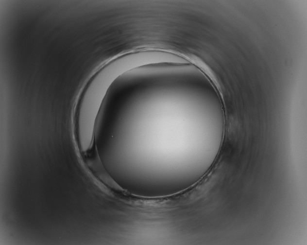 X0000088911005200707061342