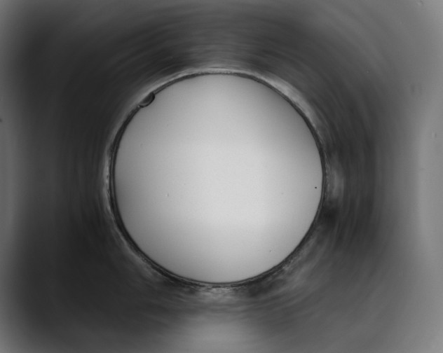 X0000088911006200707061342