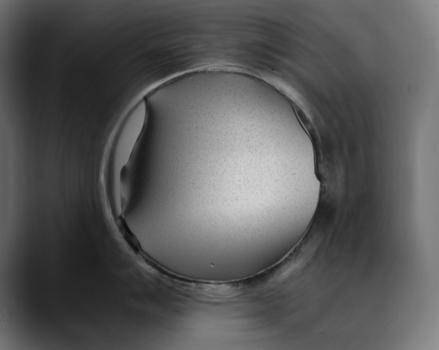 X0000088911007200707061342