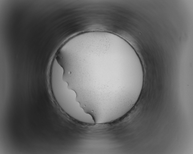 X0000088911008200707061342