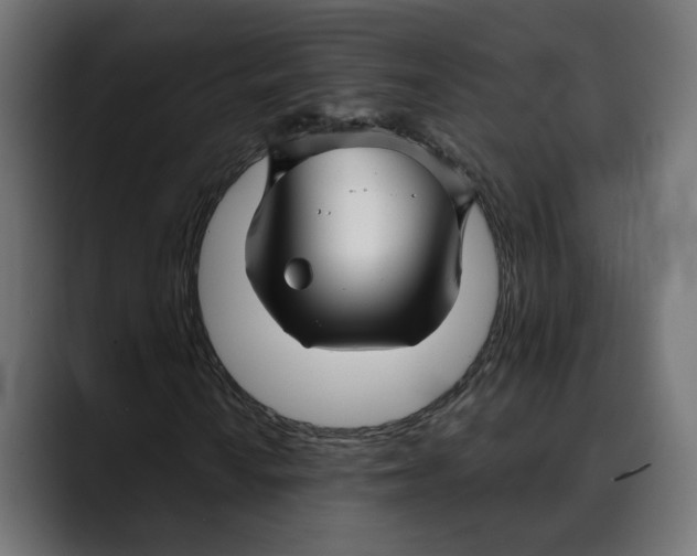 X0000088911010200707061341