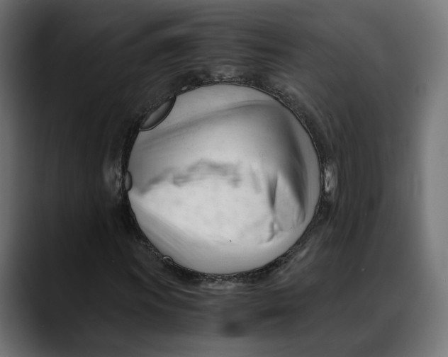 X0000088911011200707061341