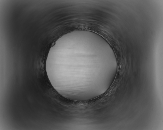 X0000088911013200707061341