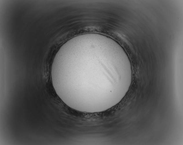 X0000088911015200707061341