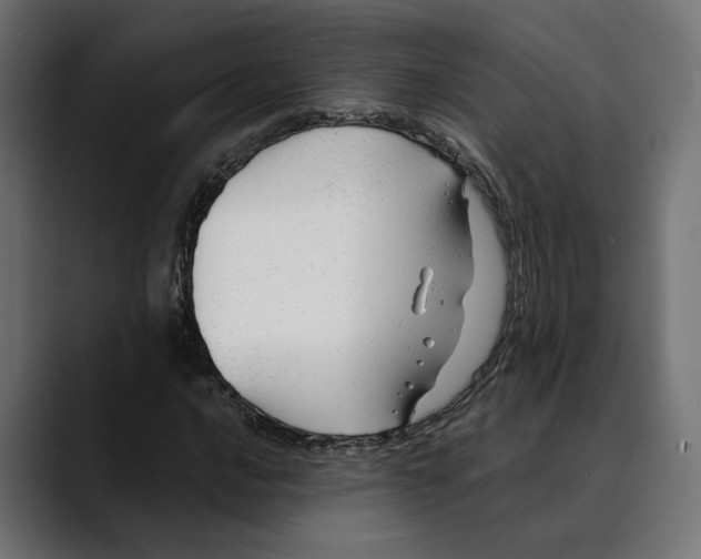 X0000088911016200707061341