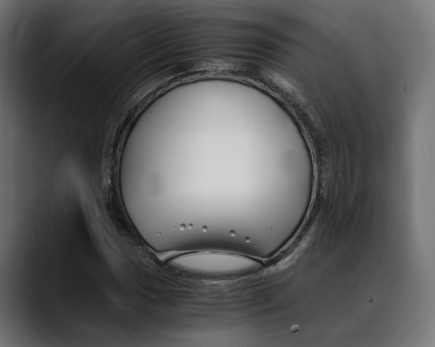 X0000088911017200707061341