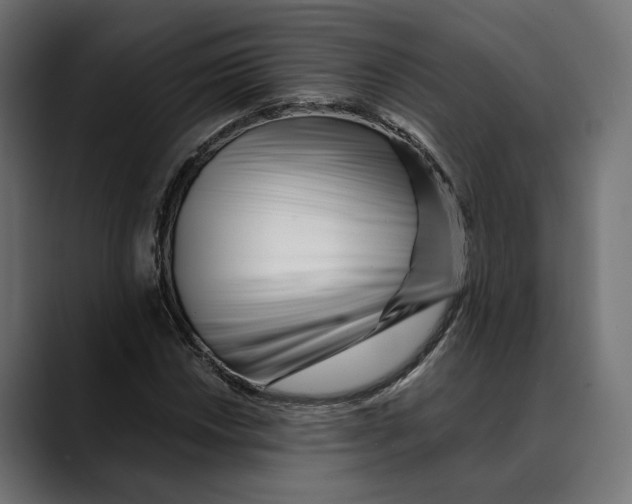 X0000088911018200707061341