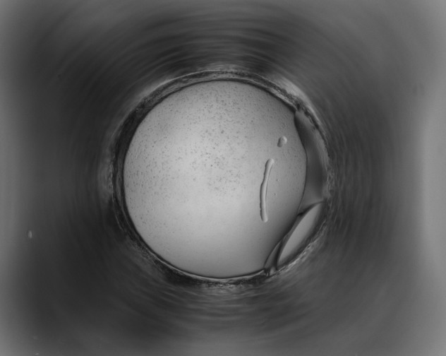 X0000088911019200707061341