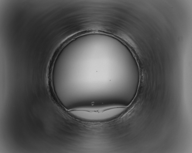 X0000088911020200707061341