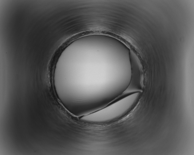 X0000088911022200707061341