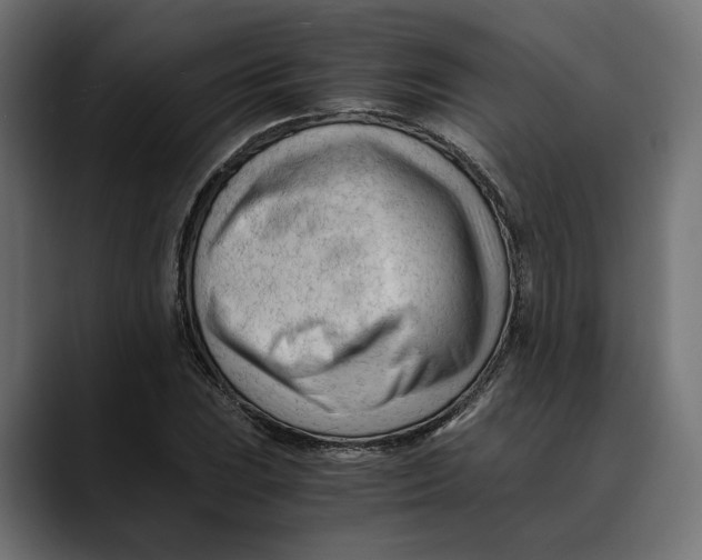 X0000088911023200707061341