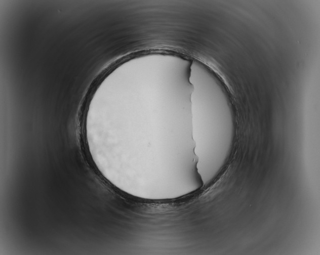 X0000088911024200707061341