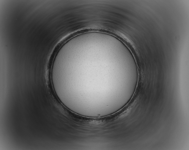 X0000088911029200707061342