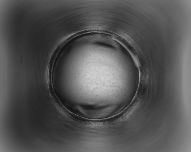 X0000088911030200707061342