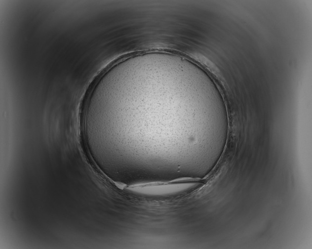 X0000088911031200707061342