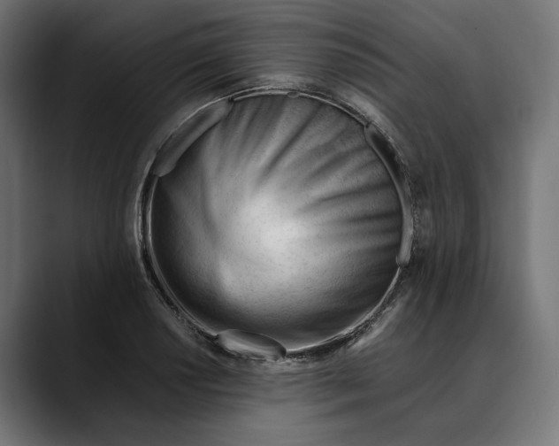 X0000088911034200707061342