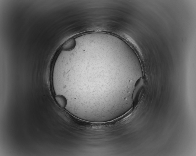 X0000088911035200707061342