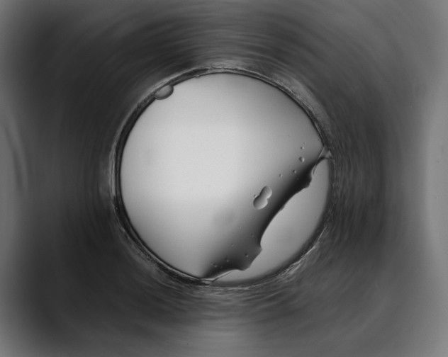 X0000088911036200707061342