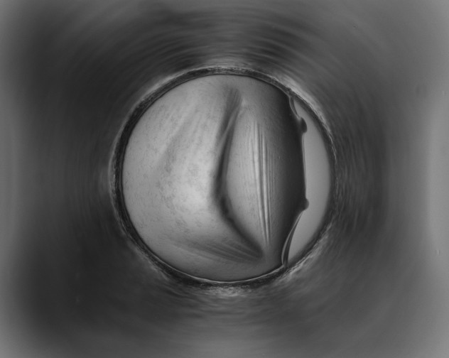 X0000088911037200707061342