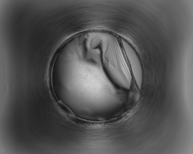 X0000088911038200707061342