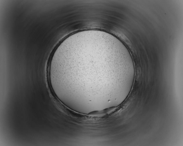 X0000088911039200707061342