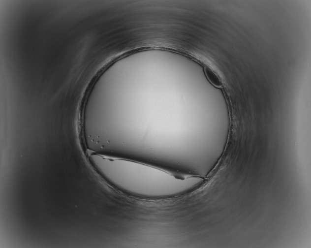 X0000088911040200707061342