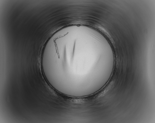 X0000088911041200707061342