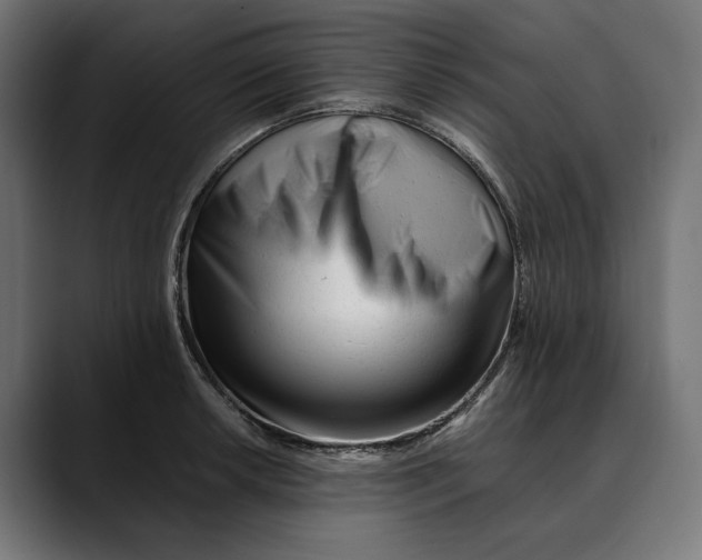 X0000088911042200707061342