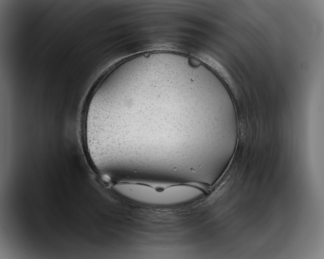 X0000088911043200707061342