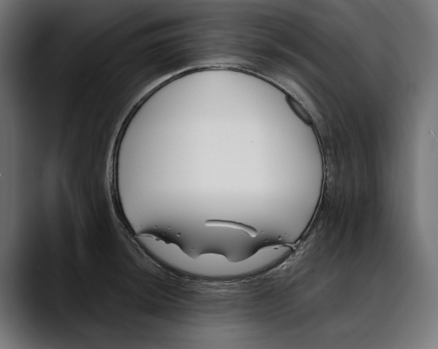 X0000088911044200707061342