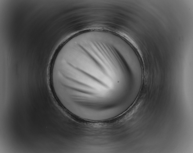 X0000088911045200707061342